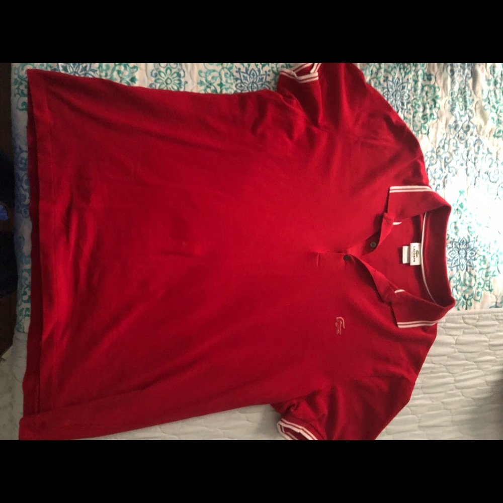 Lacoste  large polo